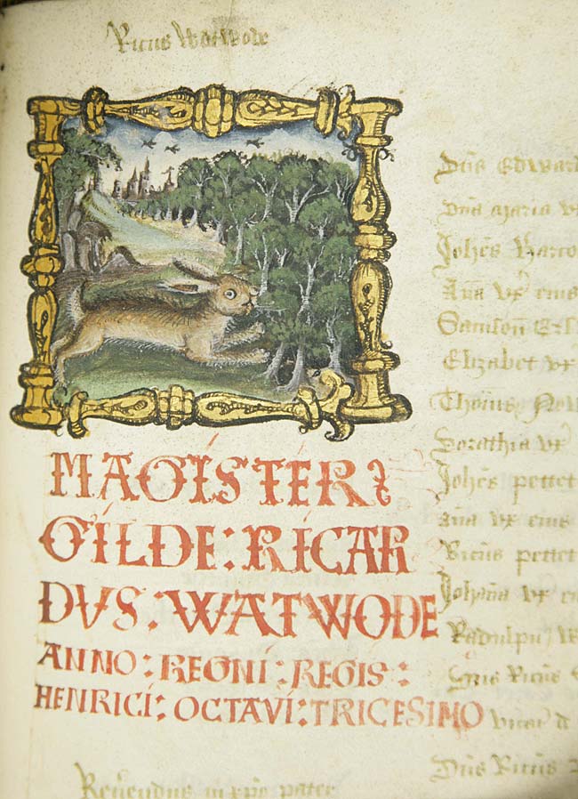 Illuminated capital letter M from the Guild Book of St Mary and St John