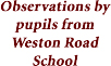 Observations by pupils from Weston Road School